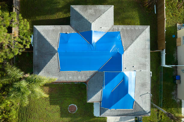 Best Skylight Installation and Repair  in Danvers, IL