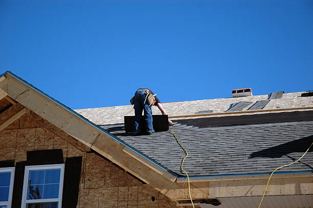 Best Roof Waterproofing  in Danvers, IL