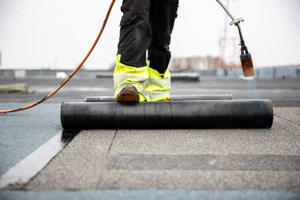 Best Roof Ventilation Installation  in Danvers, IL