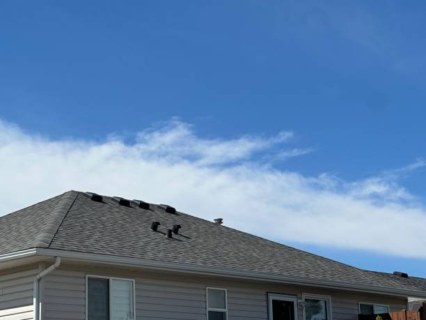 Best Roof Inspection  in Danvers, IL