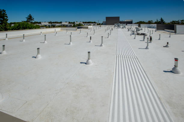 Best Roof Leak Repair  in Danvers, IL